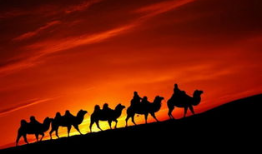 丝绸之路视频,探寻古代商贸文明的辉煌足迹